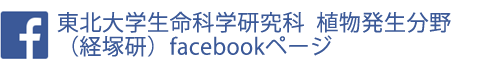 東北大学生命科学研究科分子発生制御分野（経塚研）facebookページ